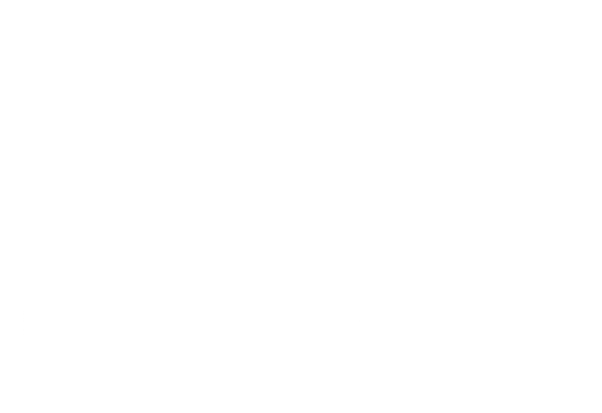 Metamoki